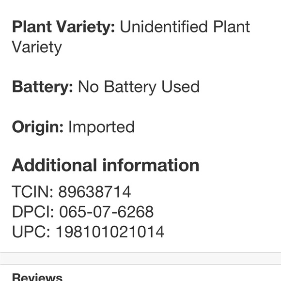 STUDIO MCGEE NWT faux philodendron decorative plant in basket -18” - Picture 7 of 9